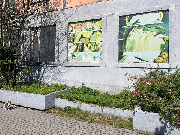 Коммерческая, 206.6 кв.м. Коммерческая, 206.6 кв.м.