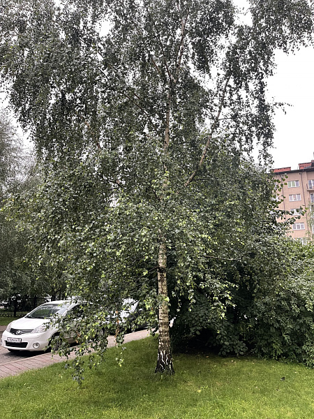 Квартира, 96 кв.м. Квартира, 96 кв.м.