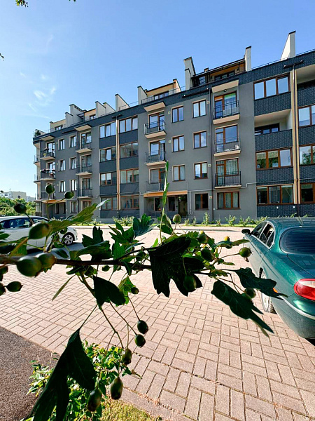 Квартира, 120 кв.м., М.Светлова ул., 16 Квартира, 120 кв.м., М.Светлова ул., 16